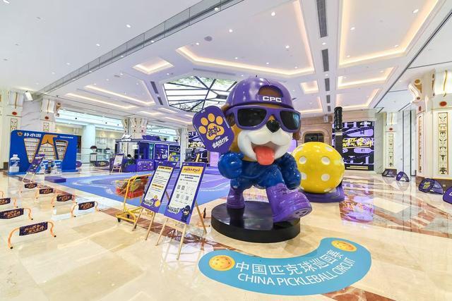 中国匹克球, alt, 下练习正手